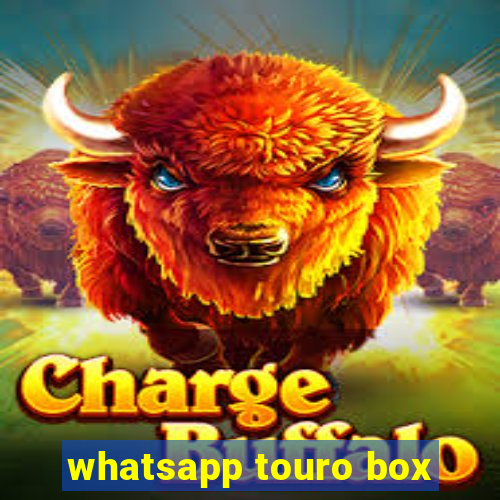 whatsapp touro box